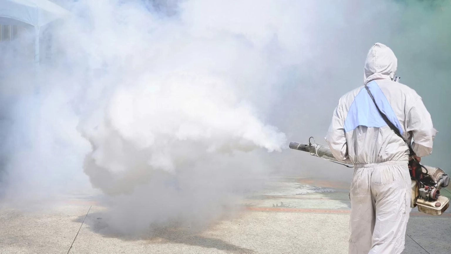 Insect Killer home protection pest control services